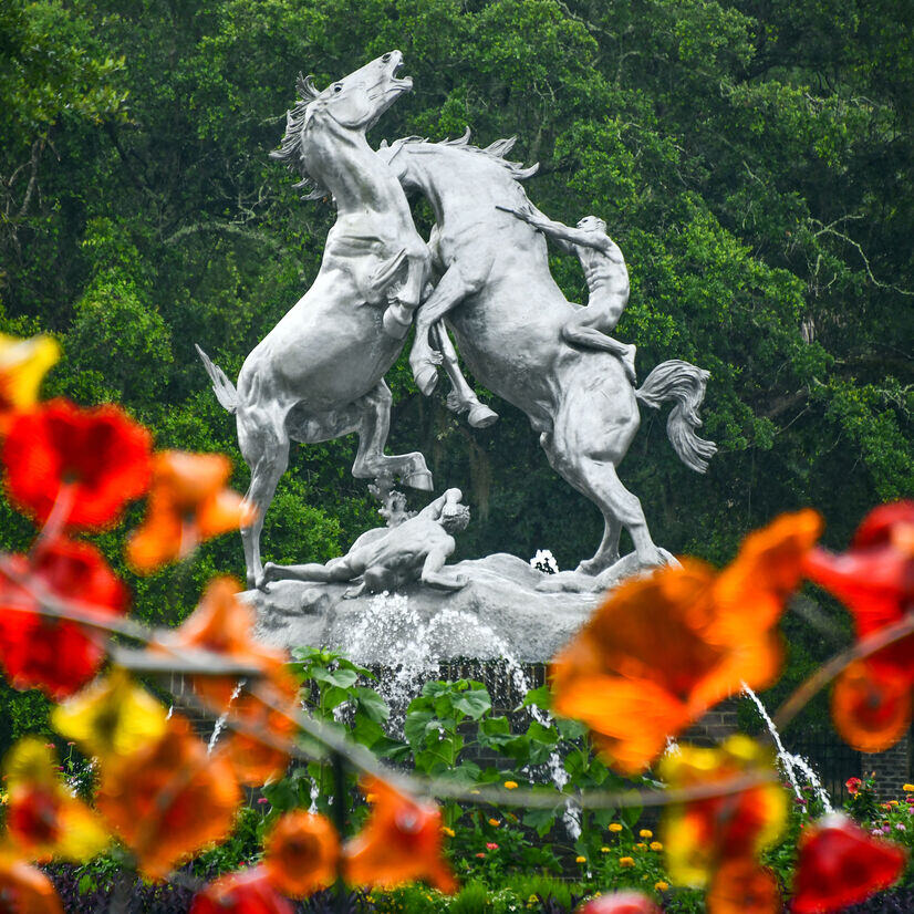 Things To Do callout